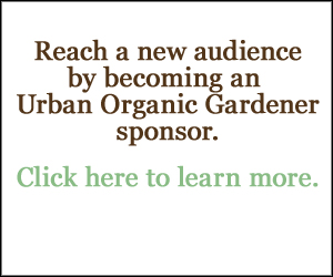 Advertise