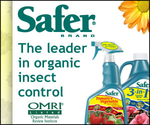 Safer Brand