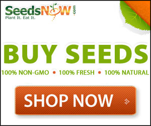 SeedsNow.com
