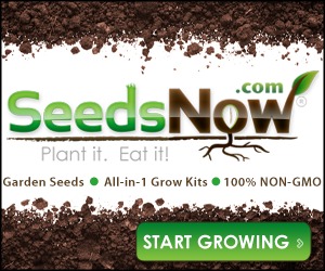 SeedsNow.com