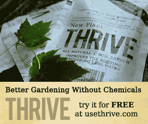 Use Thrive