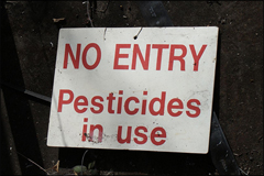 Thumbnail image for Why Not to Use Chemicals in Your Garden