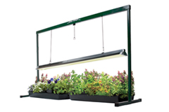Thumbnail image for How to Select the Best Grow Light