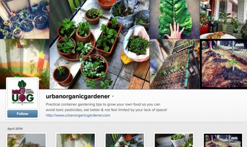 UOG-Instagram