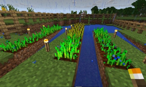 mc-farming-torches-01