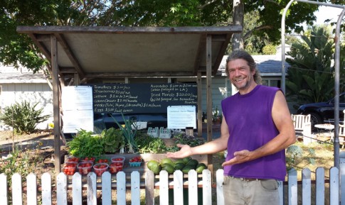 Casamor-Farm-Stand-Andre-Kohler-web