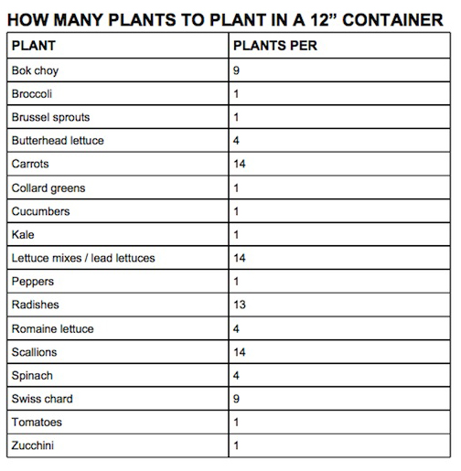 Nursery Container Sizes Chart