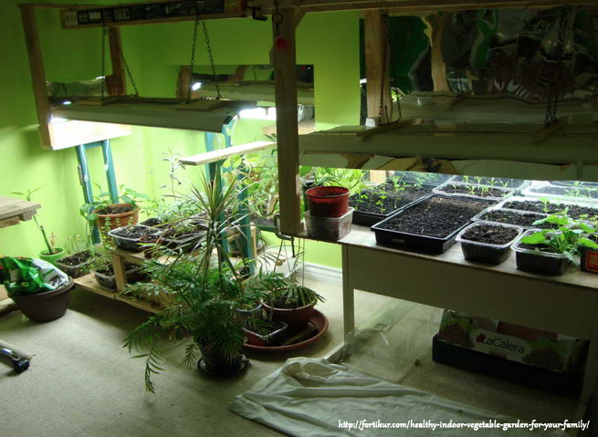 Stationær betalingsmiddel sejle How to Select the Best Grow Light for Indoor Growing - Urban Organic  Gardener