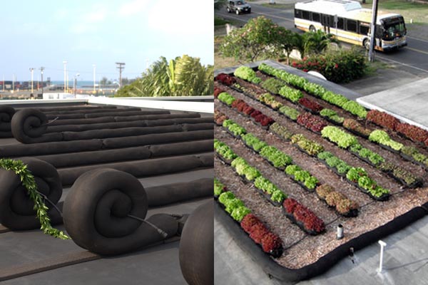 farmroof_600_2