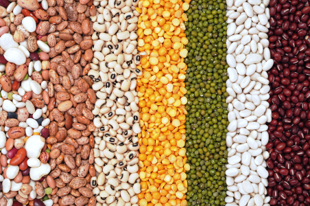 How to Store Your Seeds For the Long-Term… in the Freezer ...