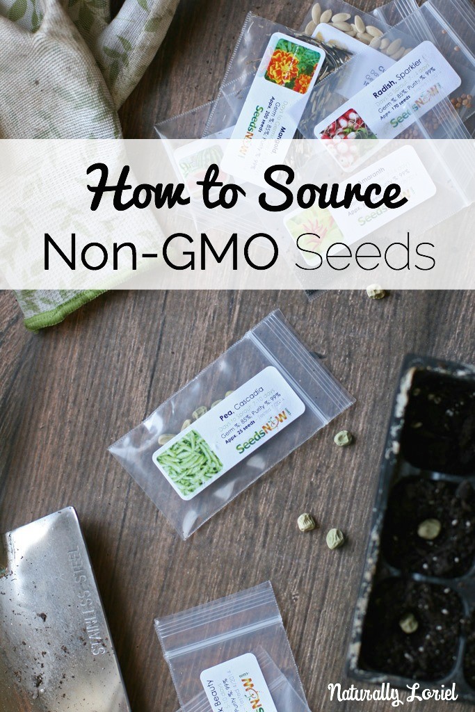 how-to-source-non-gmo-seeds-naturally-loriel-seedsnow-683x1024