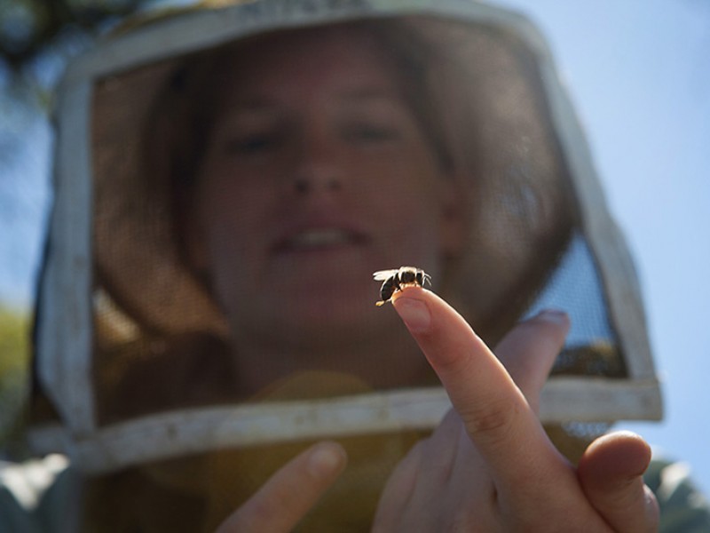 Alyssa Anderson, daughter of a beekeeper, holds a baby bee in a California orchard. Chris Jordan-Bloch / Earthjustice