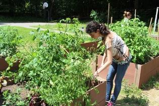 Students at the Ivy Street School, which serves teens and adolescents with autism spectrum disorder, brain injury, and other mental health diagnoses, are enjoying a unique feature of the school: an urban garden.