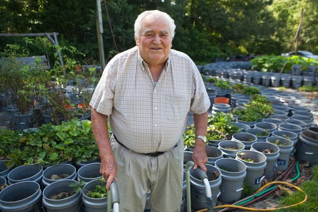 Willie Anderson, 82, maintains a garden of 1,000 fruit and vegetable plants in buckets at his home in Red Banks, Miss. The garden requires no special equipment. There's no hoe on the place, he said. And it's totally organic. I use grass clippings, soybean stalks, cotton hulls, he said.