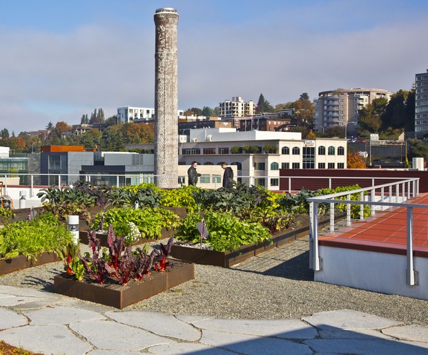  The roof garden on the Stack House Apartments in Seattle's South Lake Union neighborhood. (Michael Walmsley/Vulcan Real Estate) 