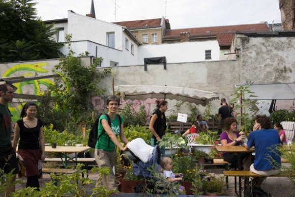 urban-gardening
