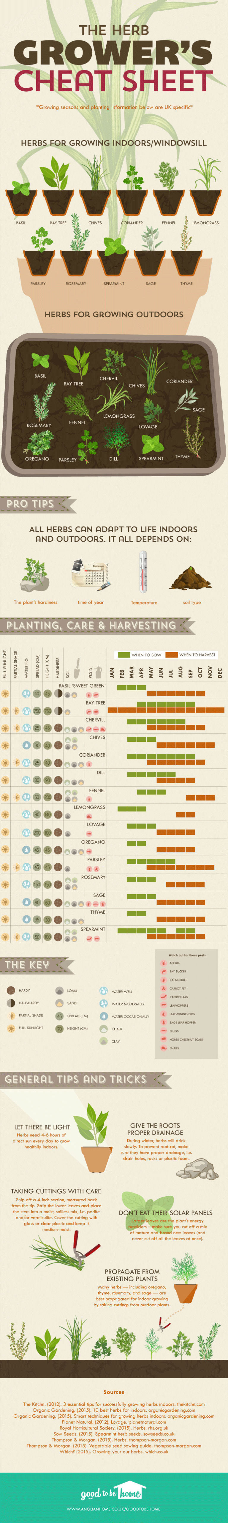 gallery-1431101019-the-herb-growers-cheat-sheet-infographic