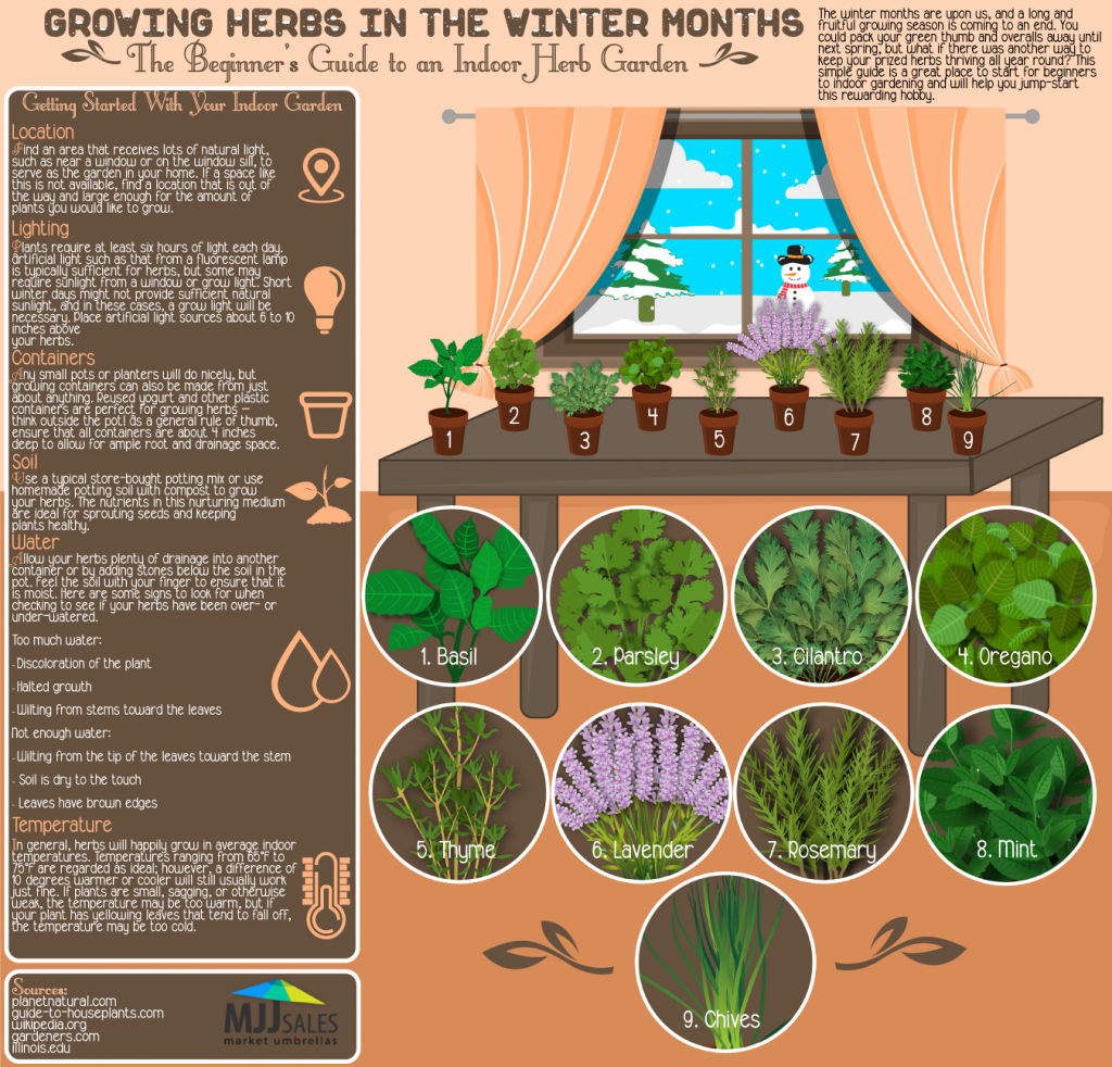 A simple guide to growing 9 delicious herbs indoors during the winter