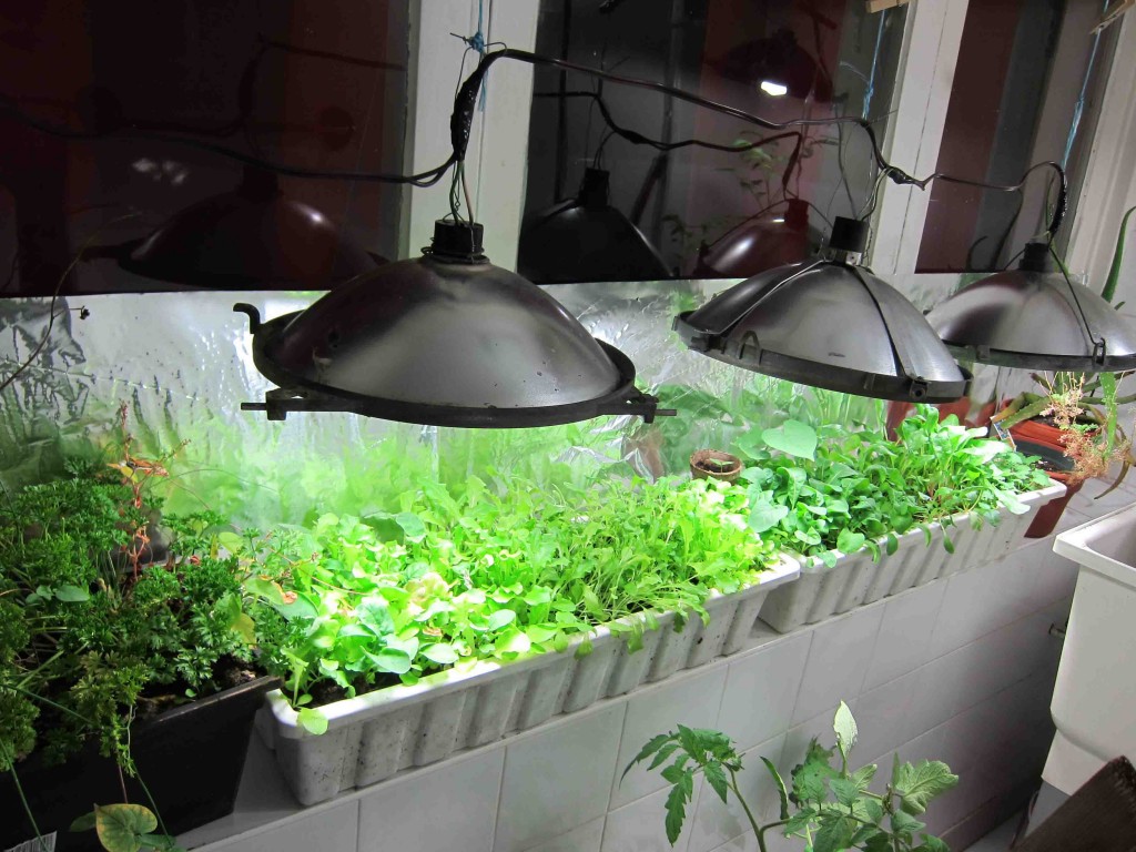 DIY How To Make a 15 Indoor Greenhouse Urban Organic DIY How To Make a 15 Indoor Greenhouse Urban Organic