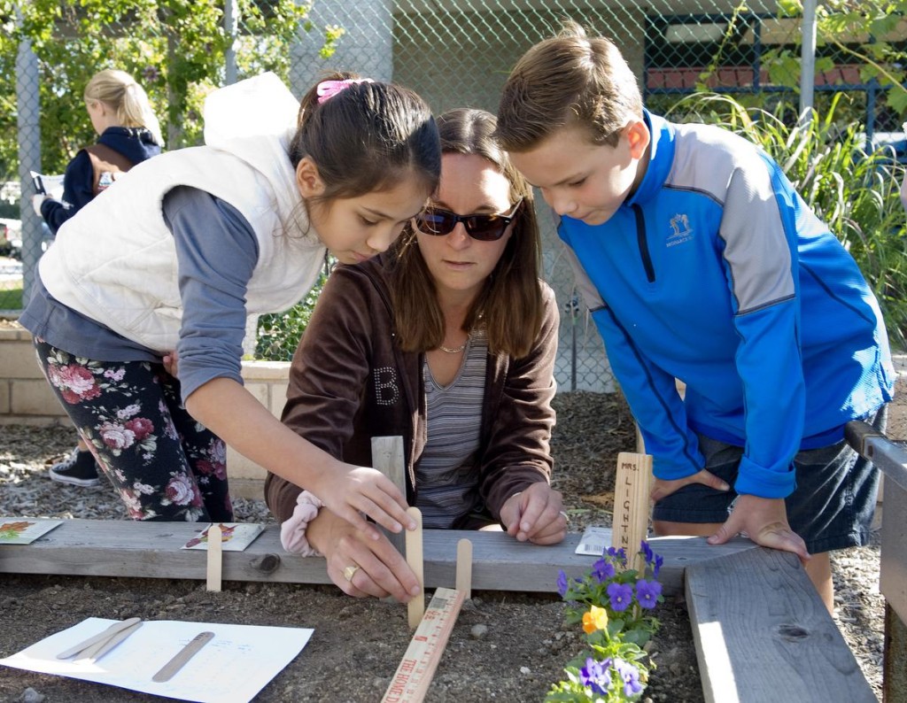 Adult Volunteer Celine Belotti (center) assists Ava Foote in and Lucas Aga in planting vegetables at the Ecology Center at Malcolm Elementary School in Laguna Niguel. //////// Additional Information  ocfamily.garden 11/12/15 Photo by Nick Koon / Staff Photographer.  The Ecology Center at Malcolm Elementary school trains teachers and volunteers on gardening so they can then teach students on how to start and maintain a garden.