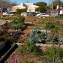 After Four Decades this Community Garden Closes for Good - Urban