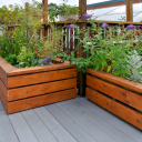 3 of The Best Vegetables To Grow In Small Gardens - Urban Organic ... 3 of The Best Vegetables To Grow In Small Gardens - Urban Organic ...