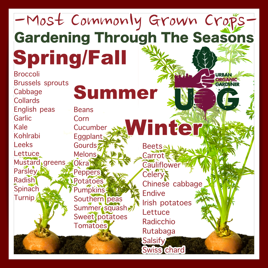 Commonly Grown Crops