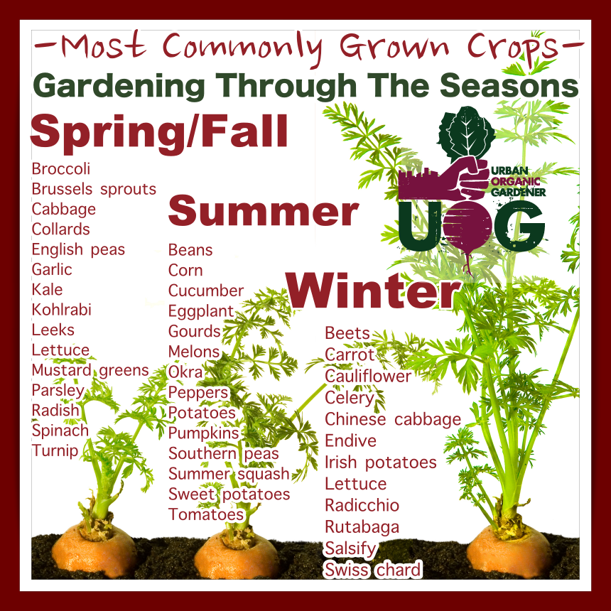 Most Commonly Grown Crops Gardening Through The Seasons Urban 