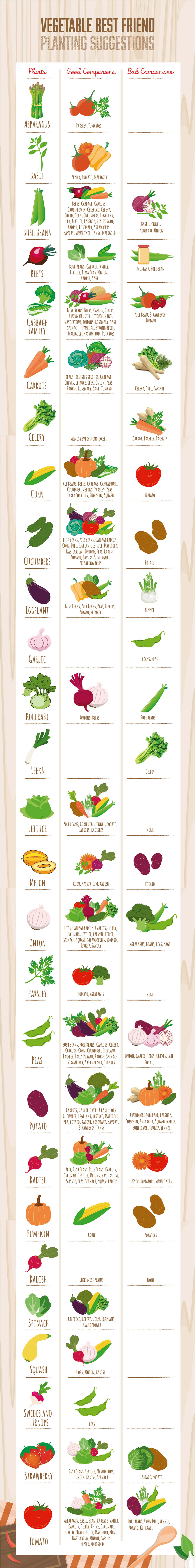 Organic Gardening Companion Planting Chart