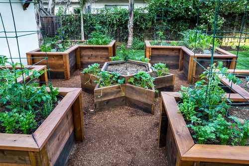 Unique-Raised-Beds-1