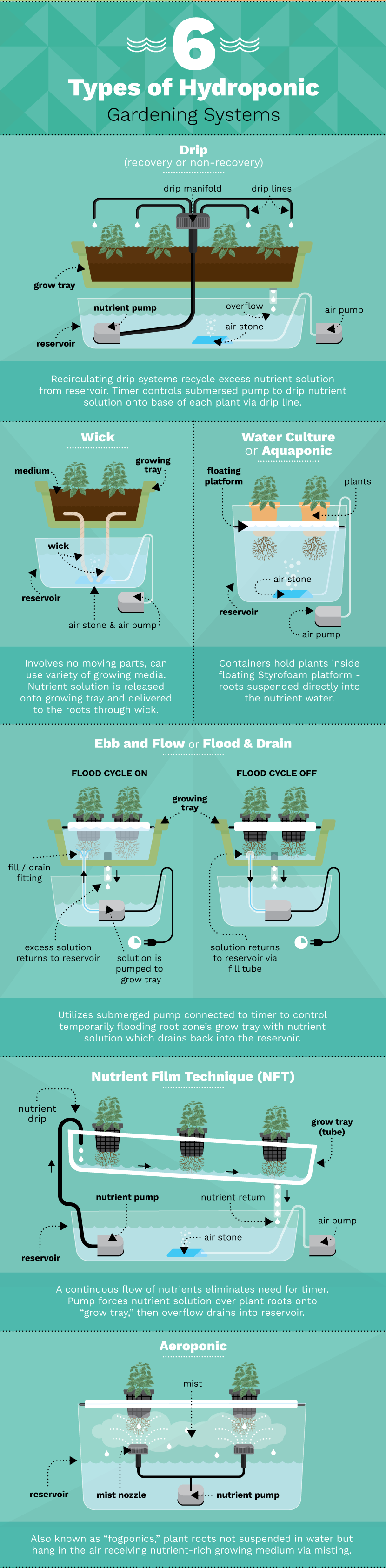 six-types-hydroponic-gardening-systems
