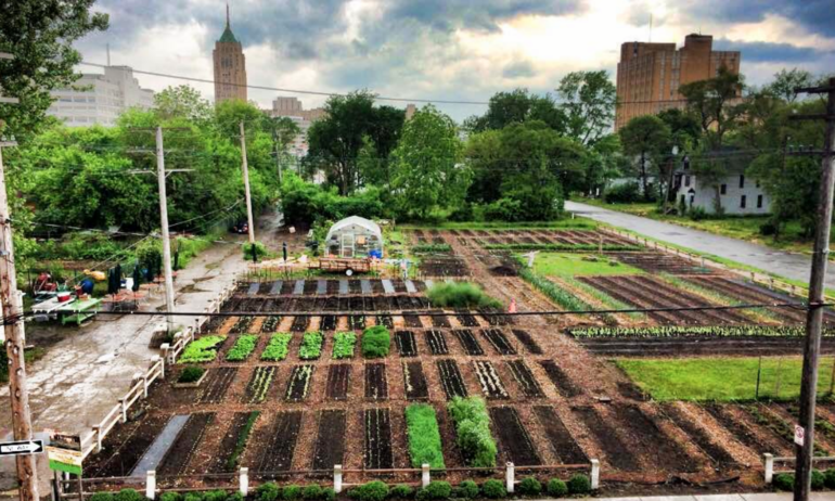 Twelve Organizations Promoting Urban Agriculture Around The World