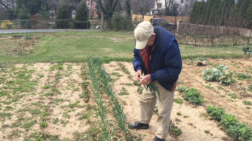 Urban Farm Bill Passes In Montgomery County Md Urban Organic