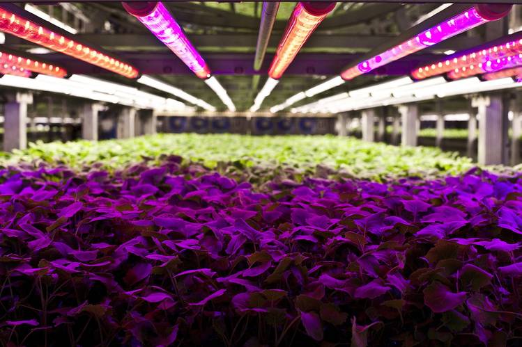 HE-AA324_NEWFAR_P_20170510150915