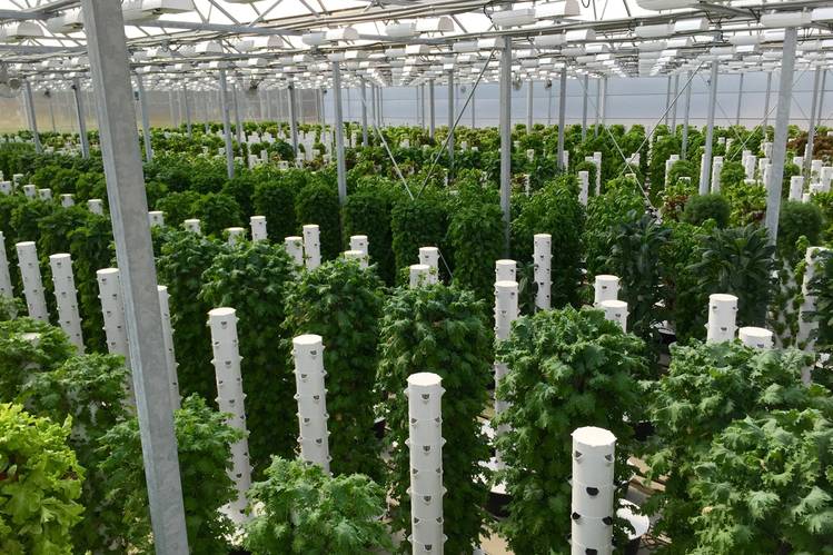 HE-AA342_NEWFAR_P_20170510153917