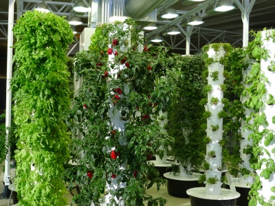 Vertical_farm-400x300