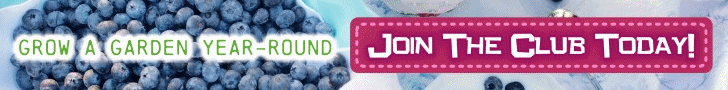 728 x 90 UOG Banner Ad