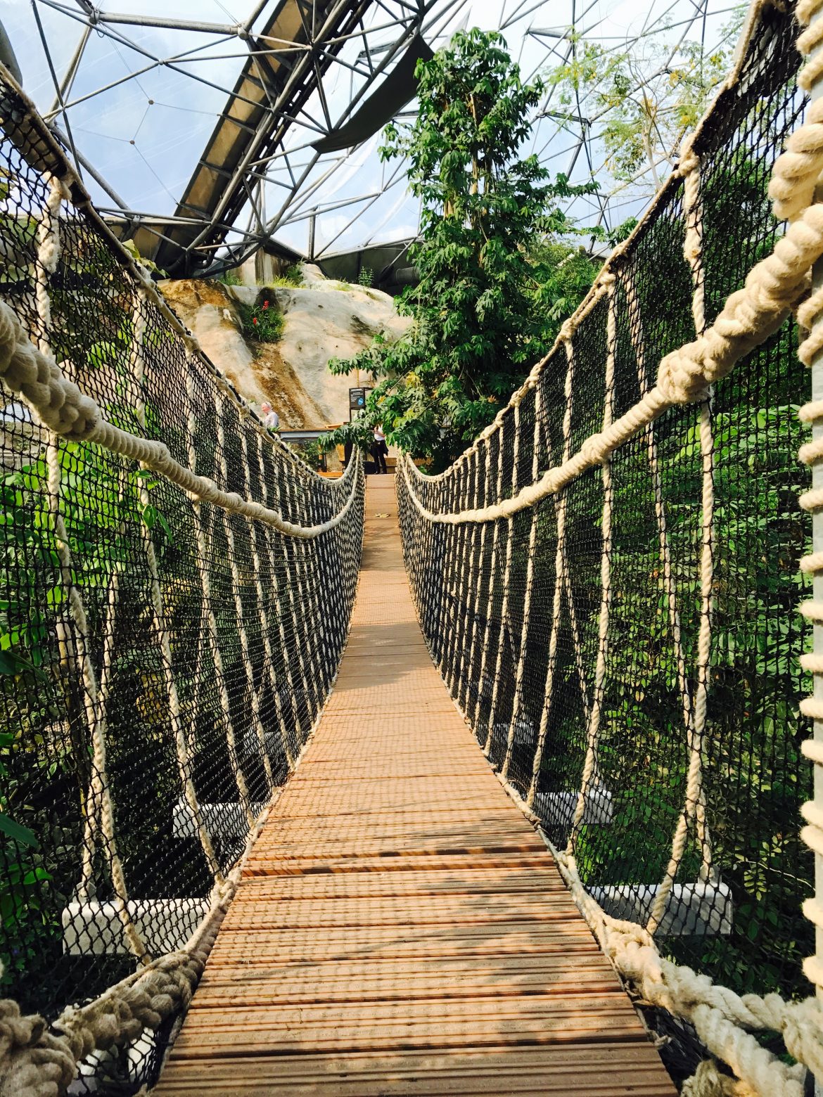 Rainforest biome canopy walk 