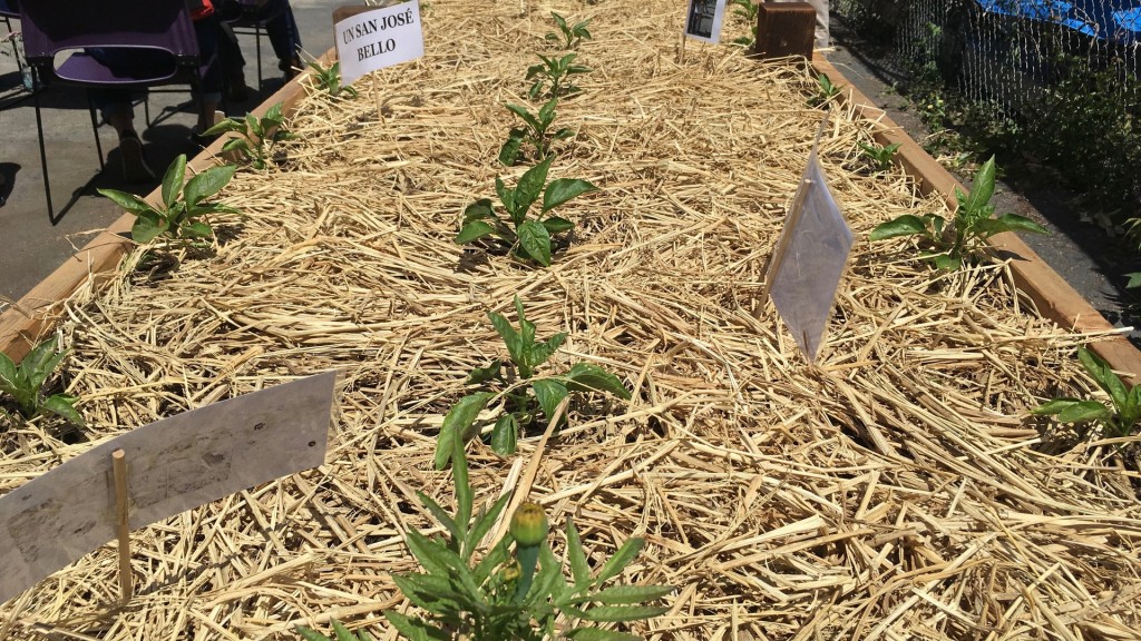 RS25757_Photo-May-25-11-43-22-AM-qut