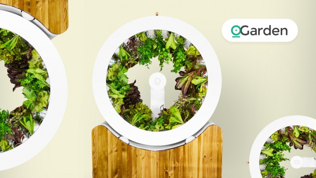 2df8a1f942462c092a155370101e5a42_original