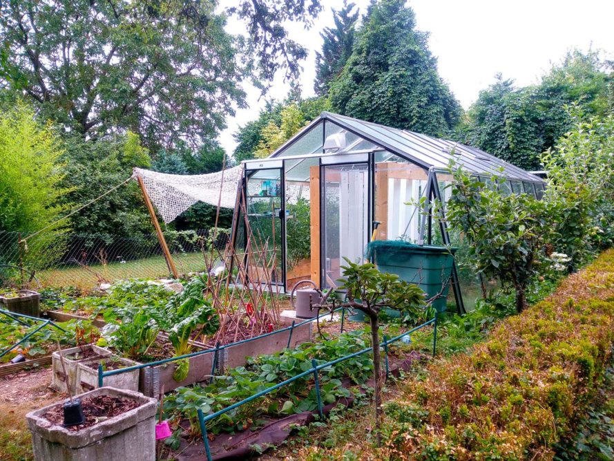 Aquaponics design company Puerto Rico Opportunity Zone Fund, LP Makes Investment in Fusion Farms