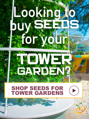 TOWER GARDEN BANNER