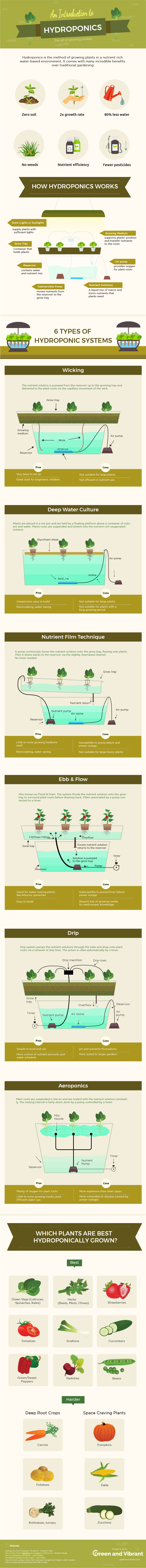 hydroponic-gardening-infographic-1