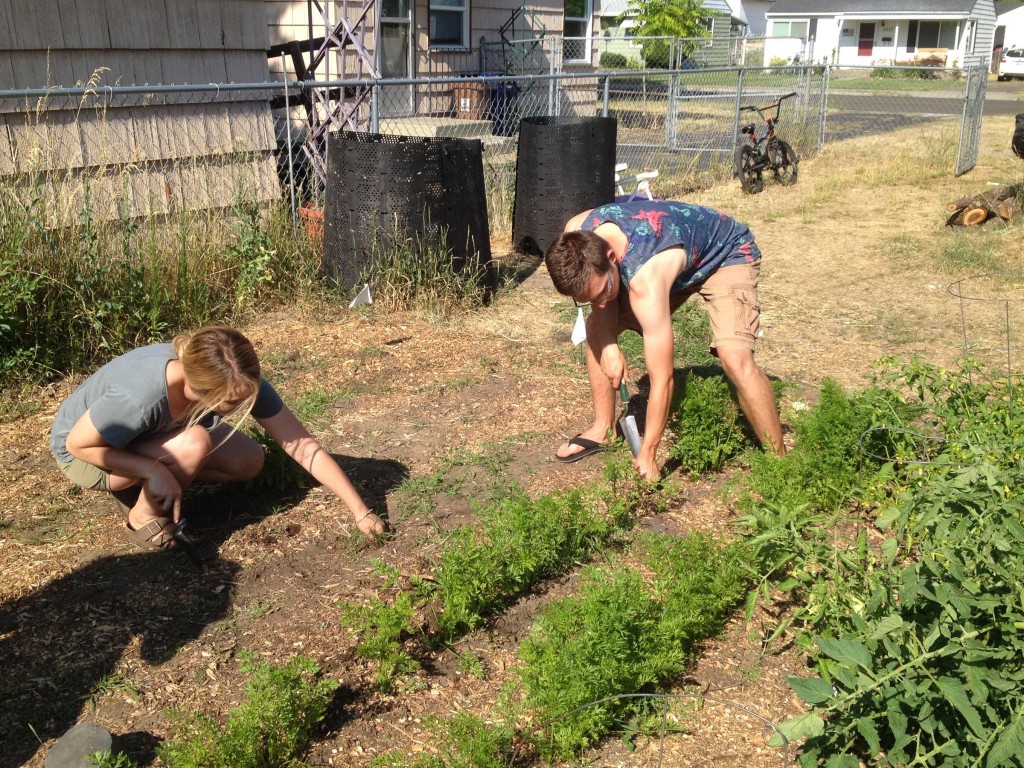 2017-07-18_16-1.47.14