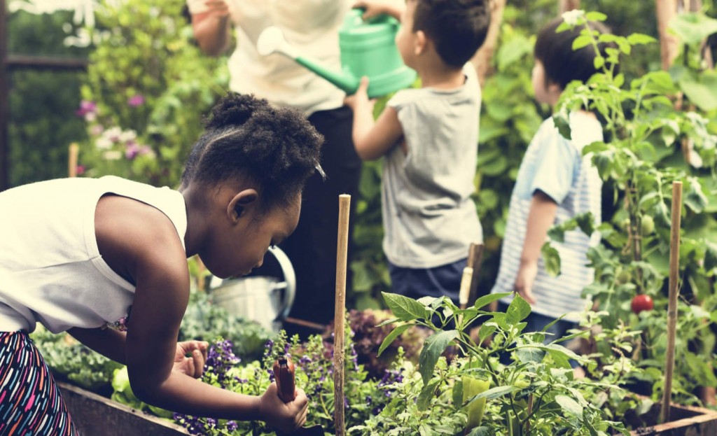 greenschool_rawpixel_sstock