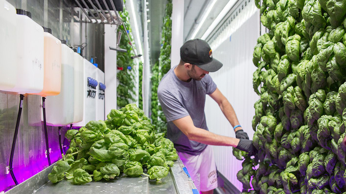 p-1-this-brooklyn-urban-farming-accelerator-is-planning-its-next-location