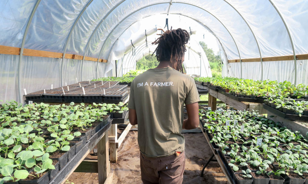 Grow-Dat-Youth-Farm-New-Orleans-9-1020x610