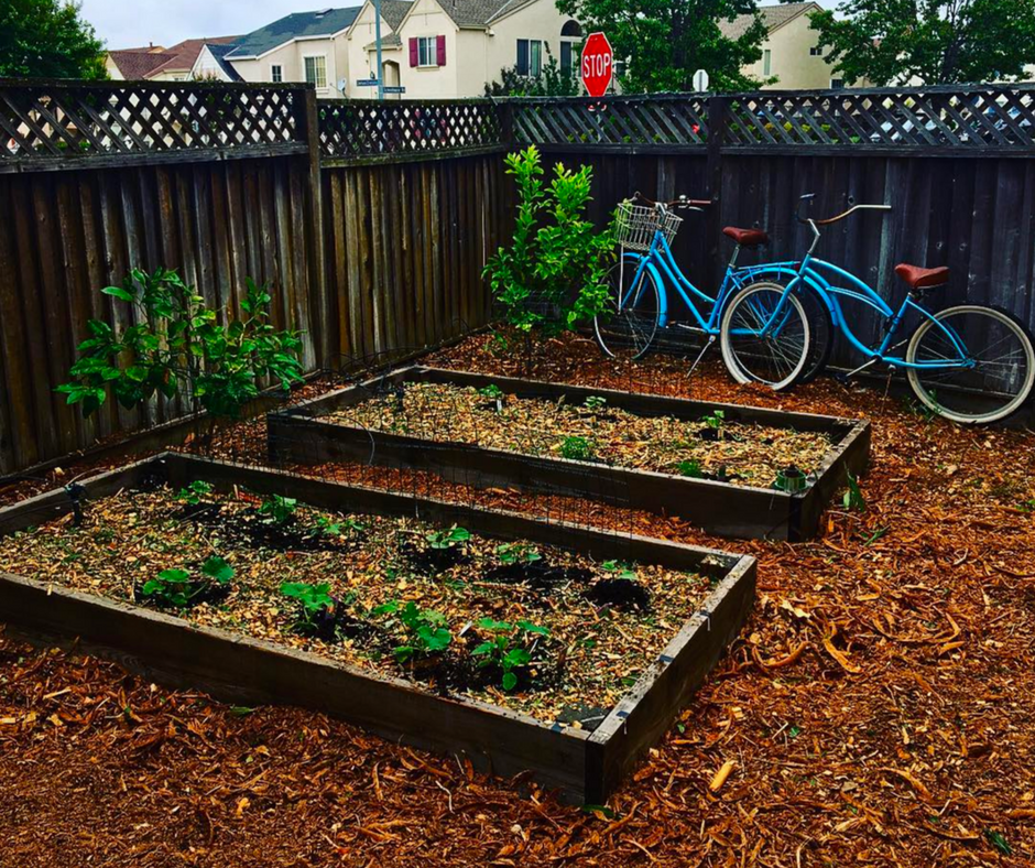 Chip Drop Get Free Wood Chip Mulch Delivered Urban Organic