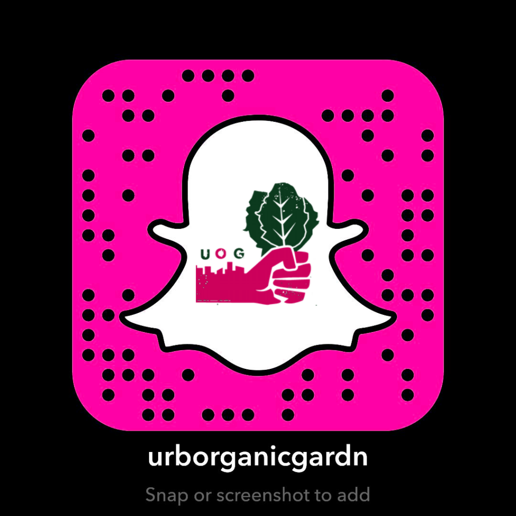 UOG SnapChat Logo