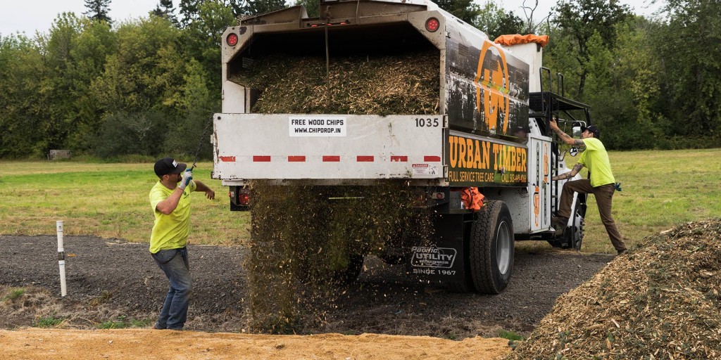 Free Wood Chips  Traverso Tree Service